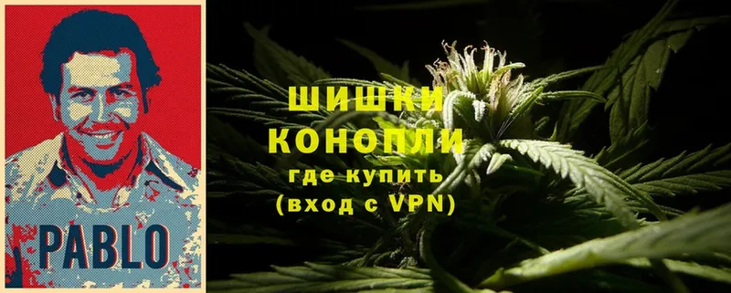 kraken как войти  Ардатов  Шишки марихуана Ganja 